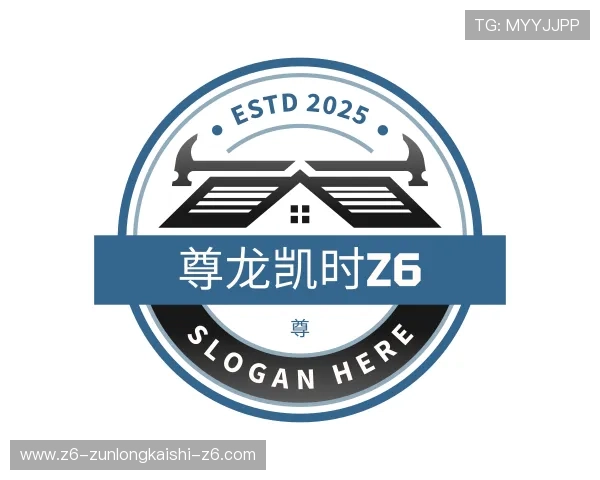 介绍尊龙凯时z6